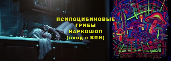 мет Щигры