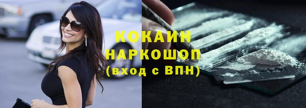 ПСИЛОЦИБИНОВЫЕ ГРИБЫ Козловка