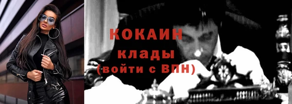 гидропоника Коряжма