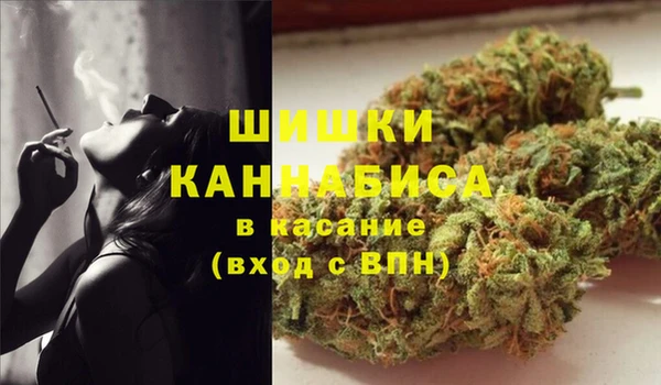 гидропоника Коряжма