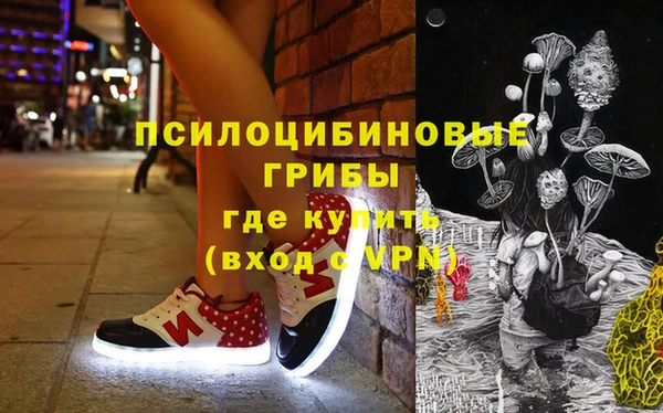 МДПВ Козельск