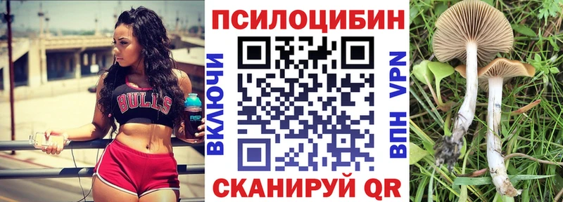 Псилоцибиновые грибы Magic Shrooms  Купить  Нея 